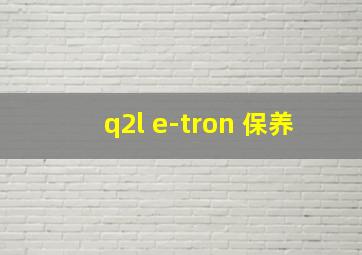 q2l e-tron 保养